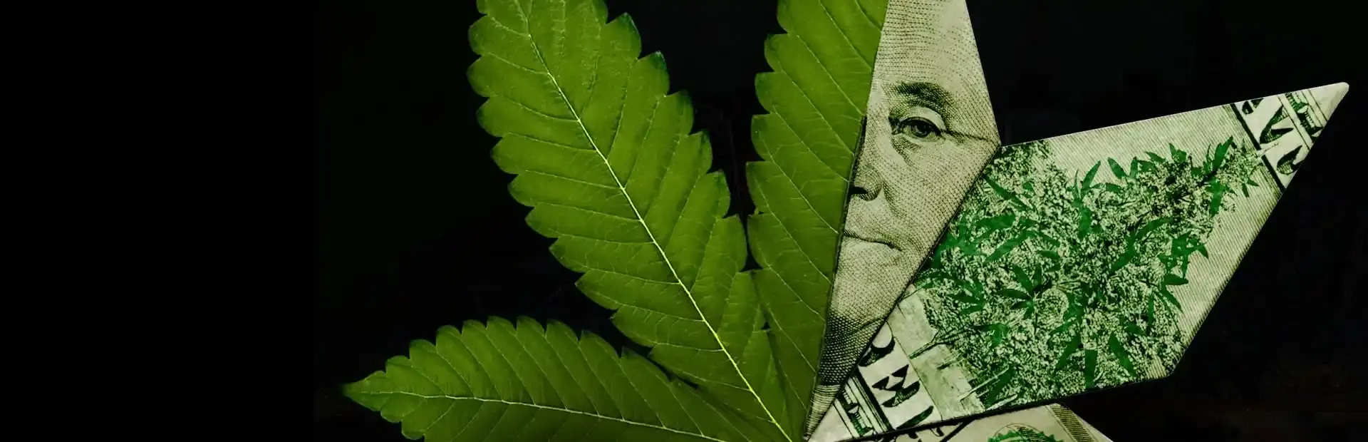 Weed Shop 3 background