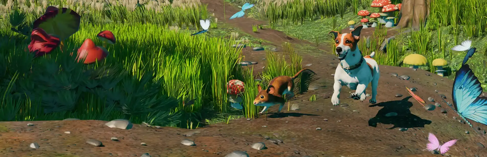 Toto's Journey background