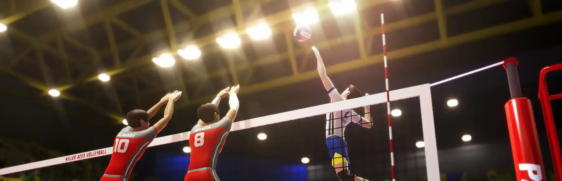 Killer Aces Volleyball background
