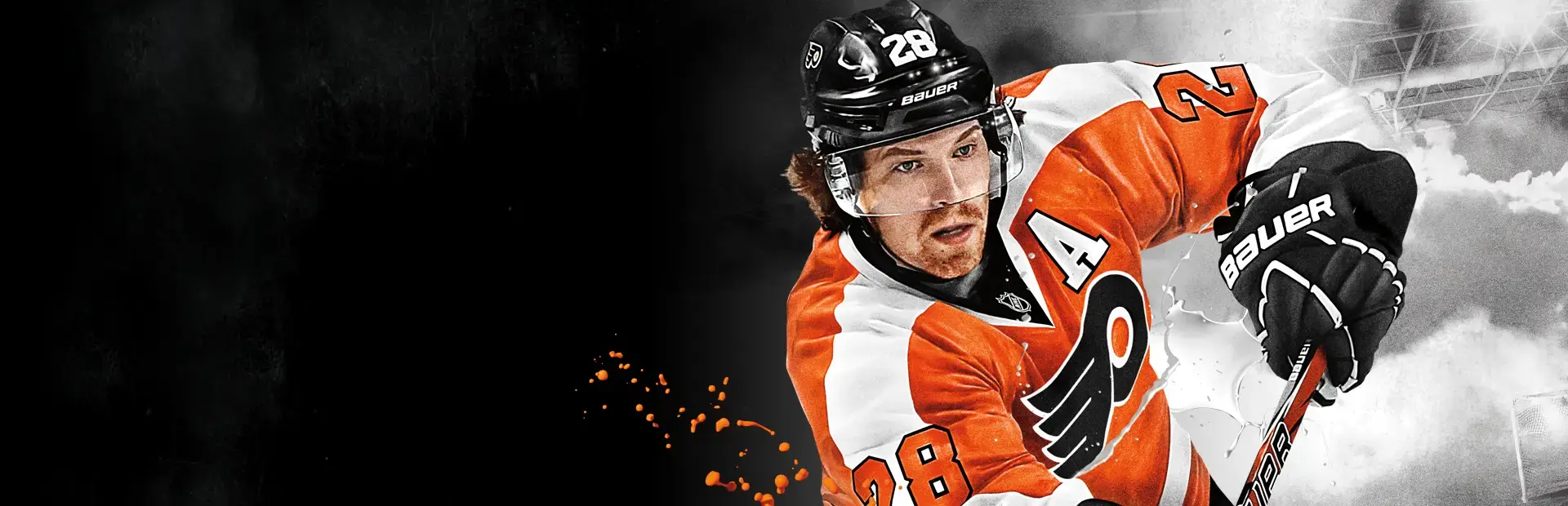 NHL 13 background