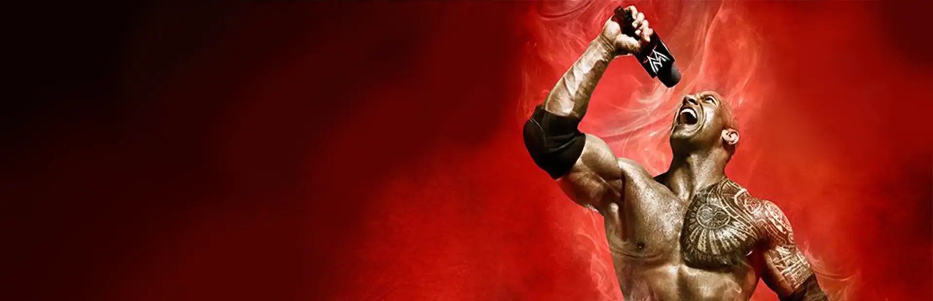 WWE 2K14 background