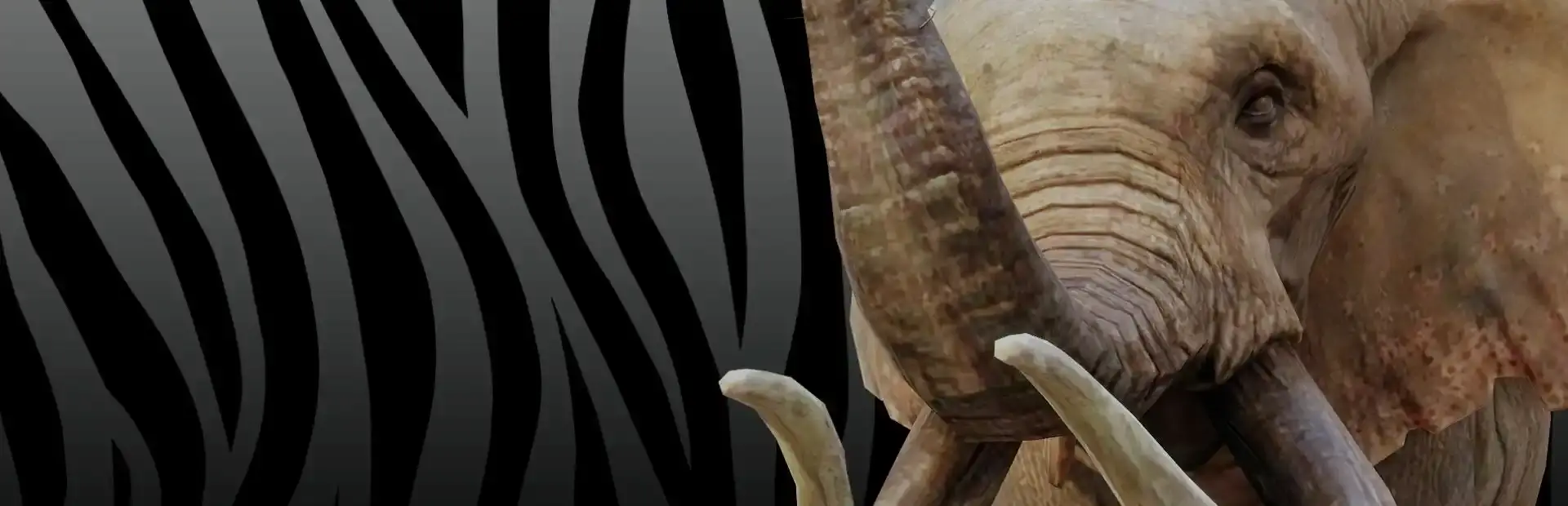 Zoo Simulator background