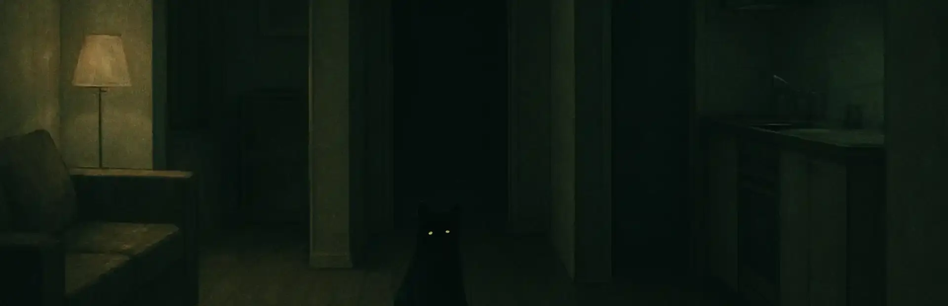 Don't Feed the Cat background