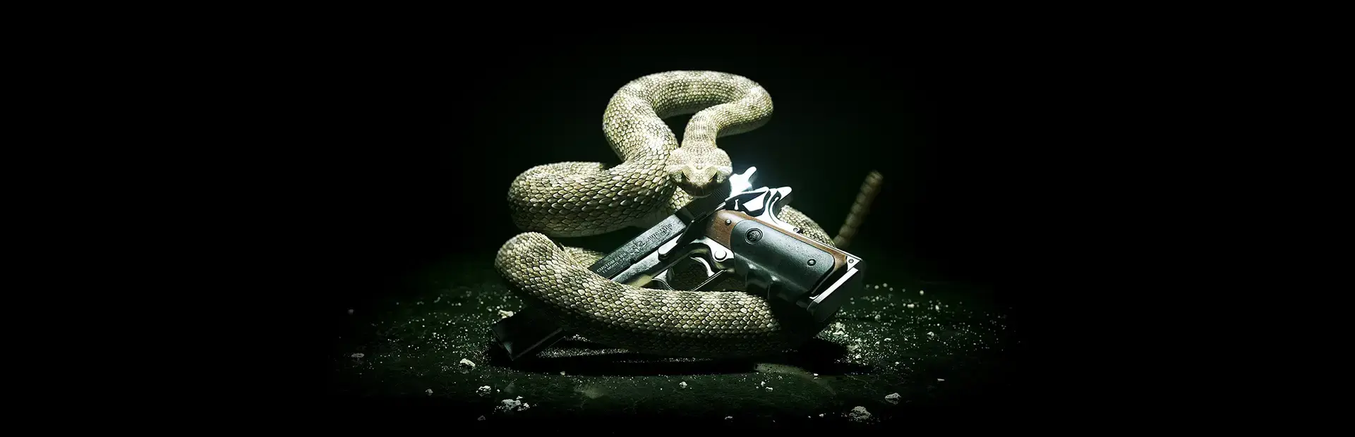 Hitman: Absolution background
