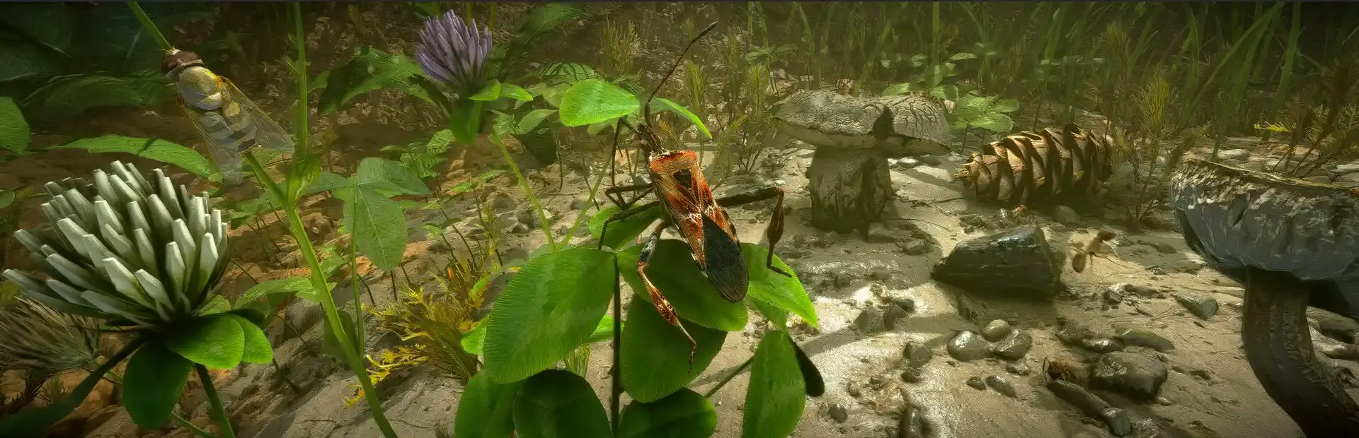 Insect Worlds background