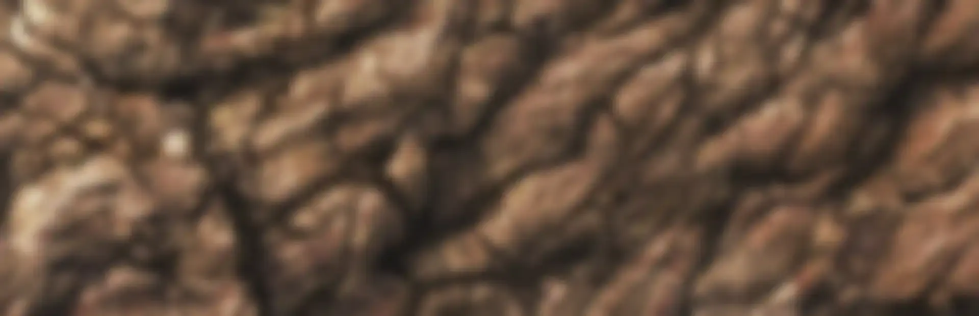 Pixel Puzzles 2: Birds background