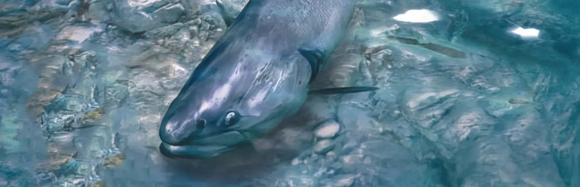 Reel Fishing: The Great Outdoors background