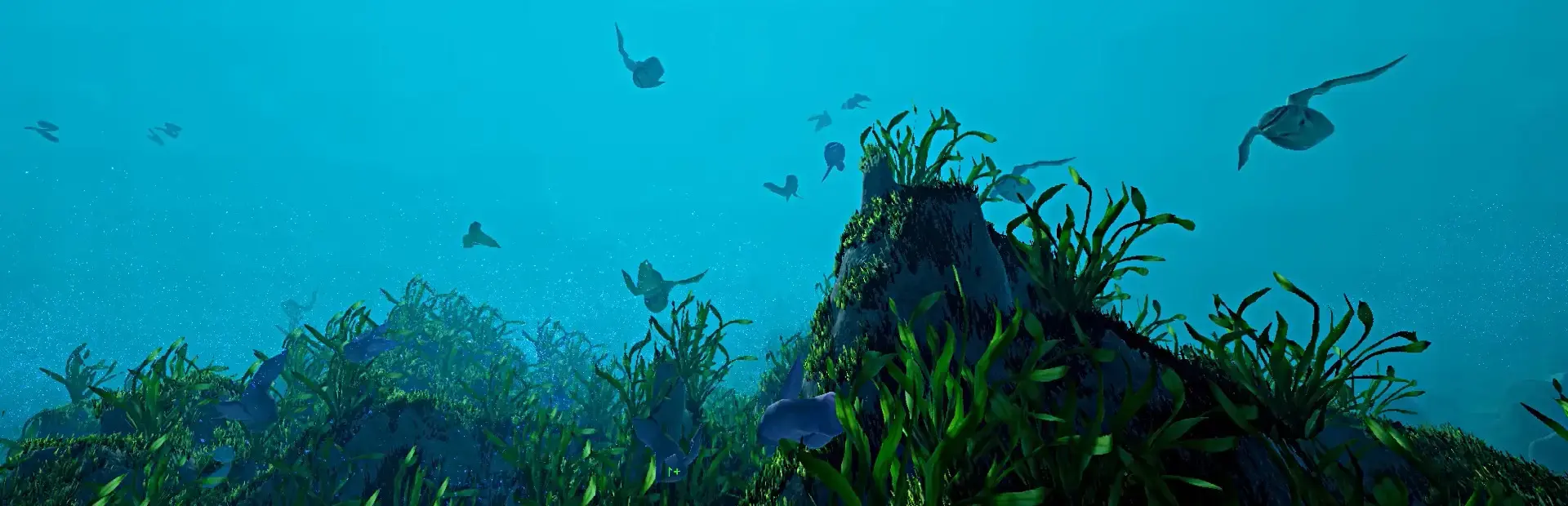 Ecosystem background