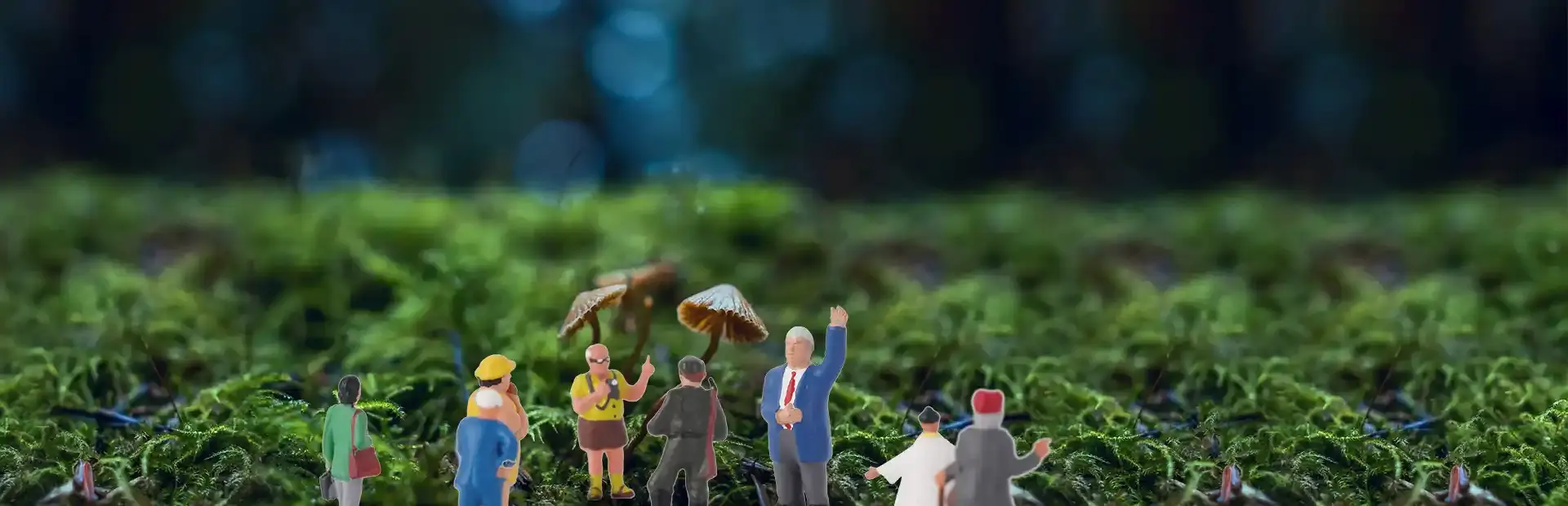 VR Wonderland: mini civilizations in a forest background