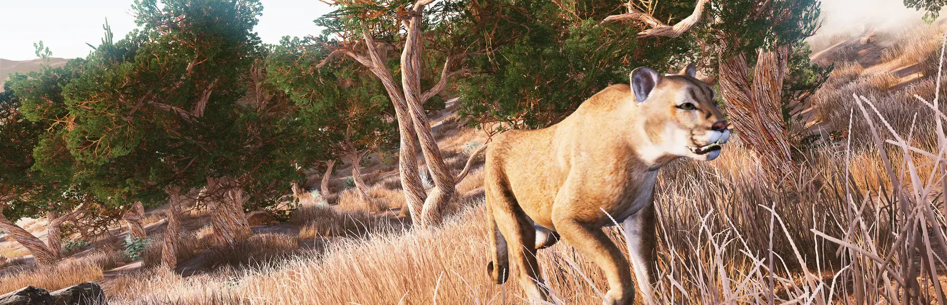 Hunting Simulator background