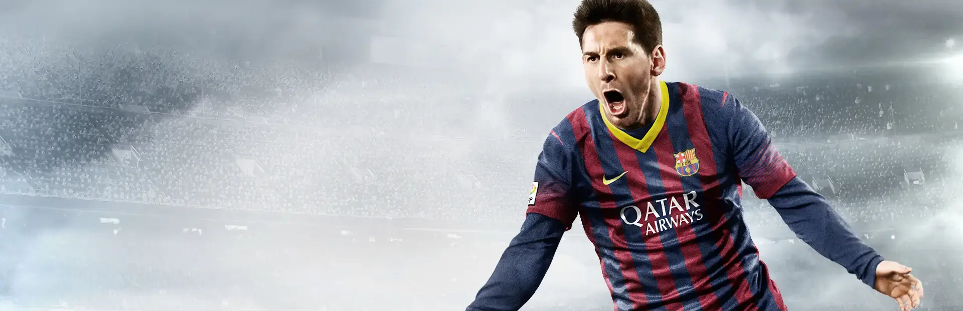 FIFA 14 background