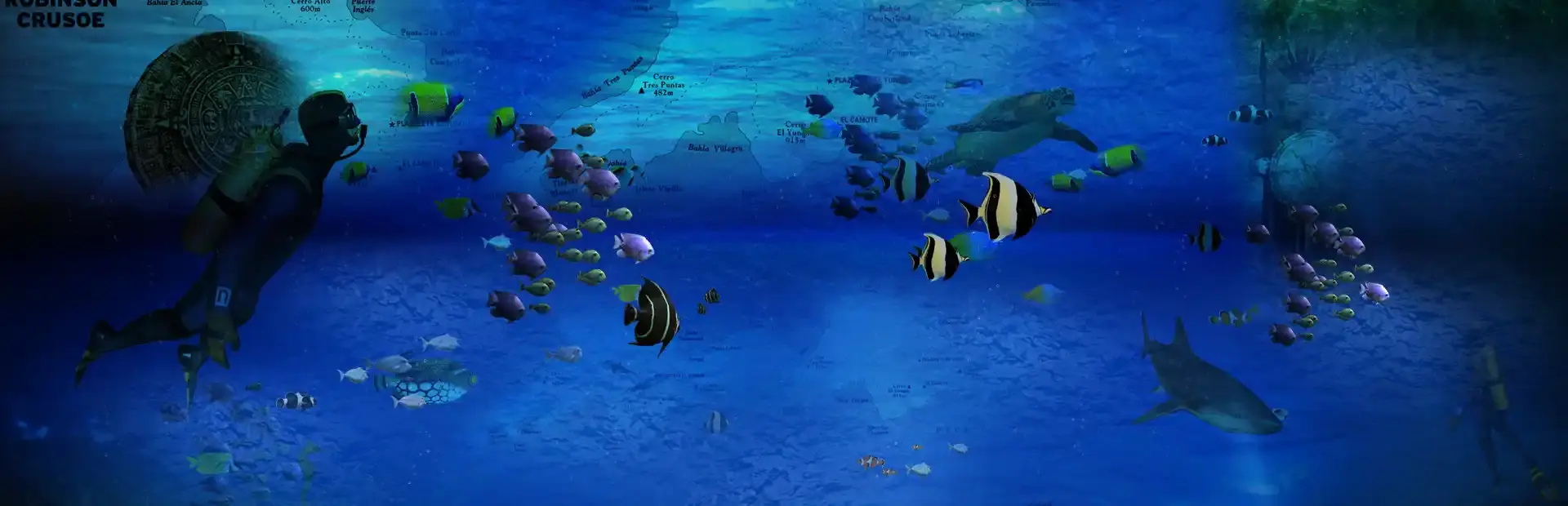 Reef Shot background