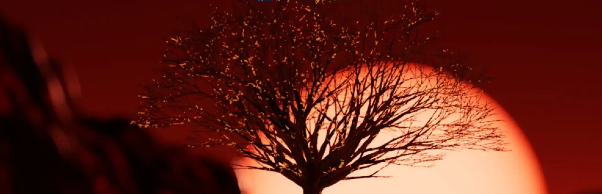 Animators Hell background