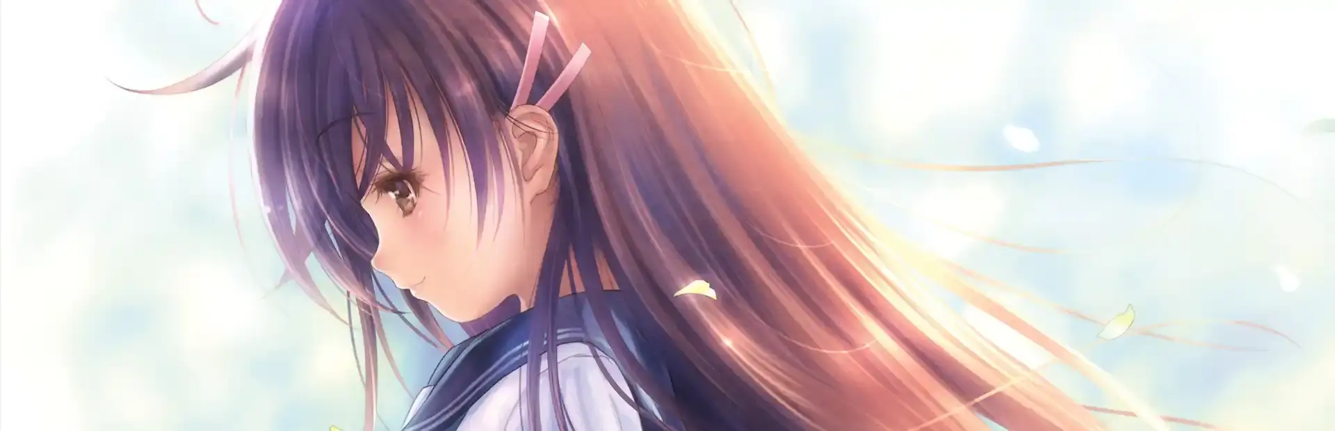Narcissu 10th Anniversary Anthology Project background