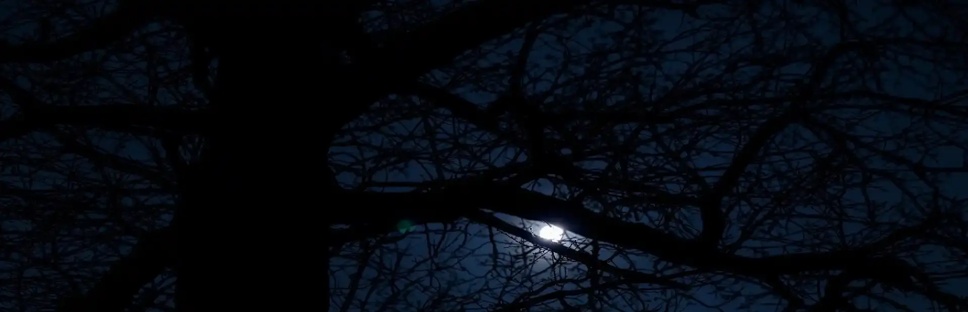 Vamp Night background