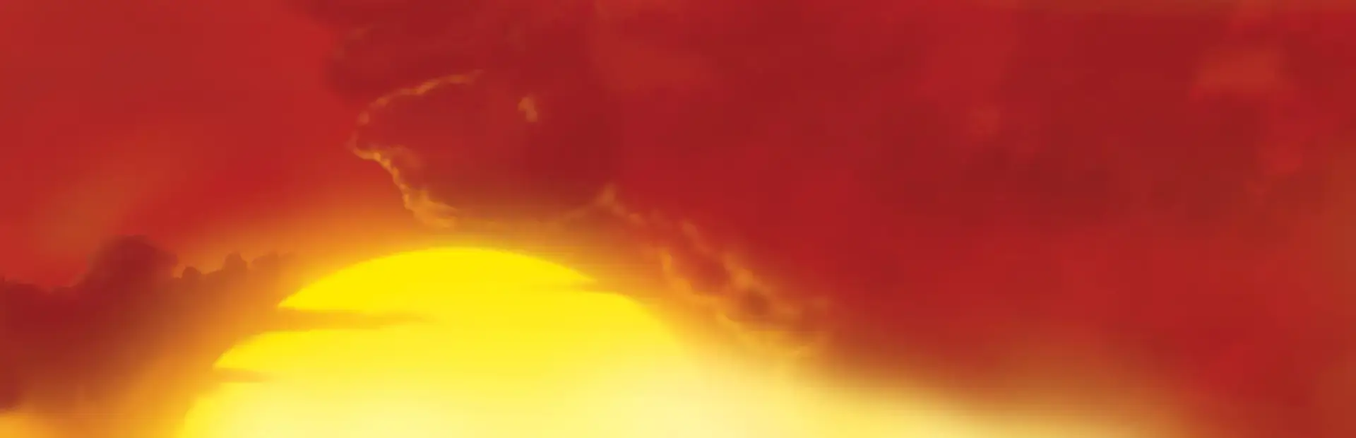 SimAnimals Africa background