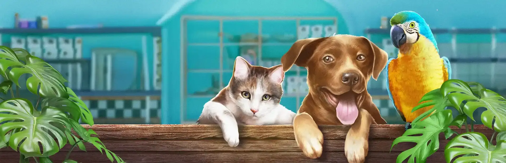 Exotica 2: Pet Shop Simulator background