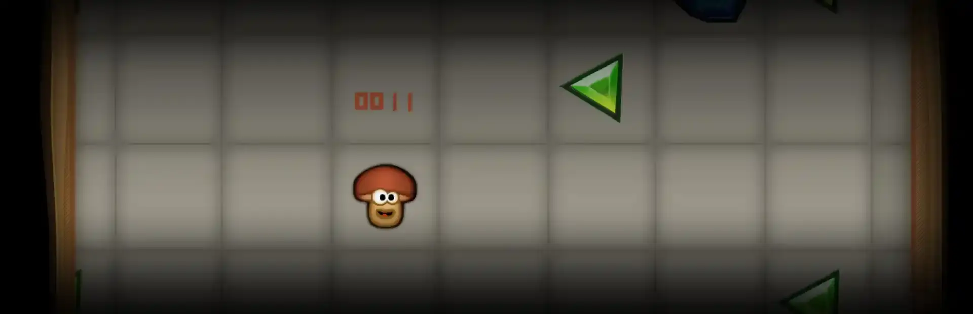 Porcini background