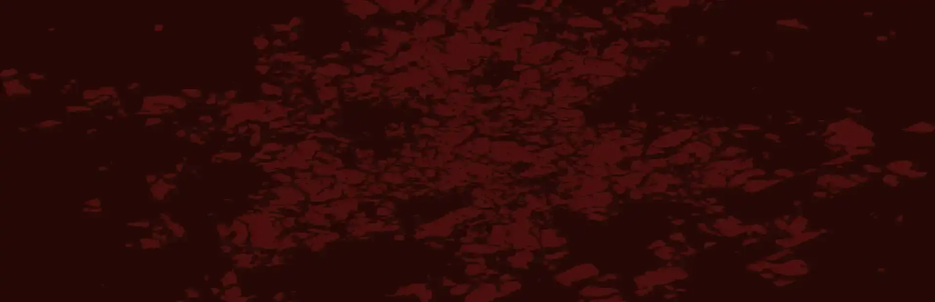 Bullethell background