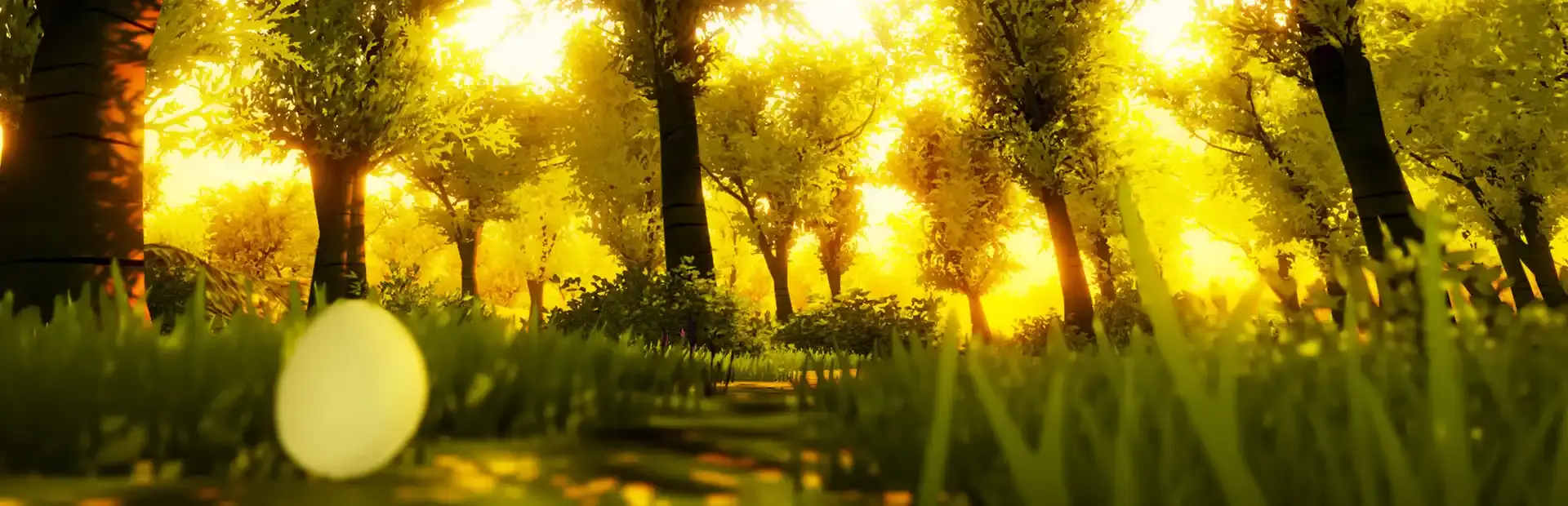 Lost Egg background
