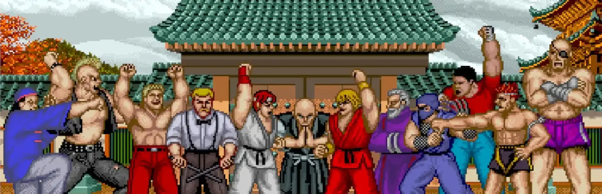 Street Fighter background