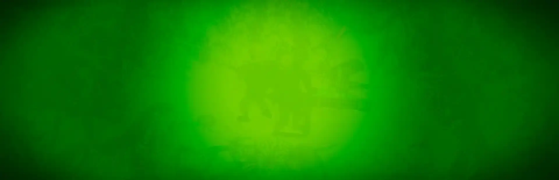 Bug Killers background