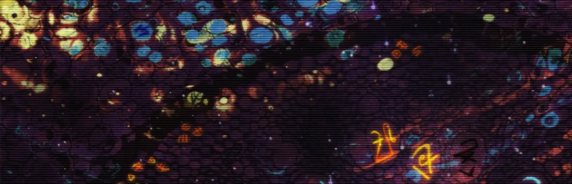 Deadnaut: Signal Lost background