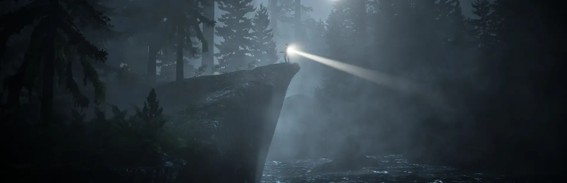Alan Wake: Limited Collector's Edition background