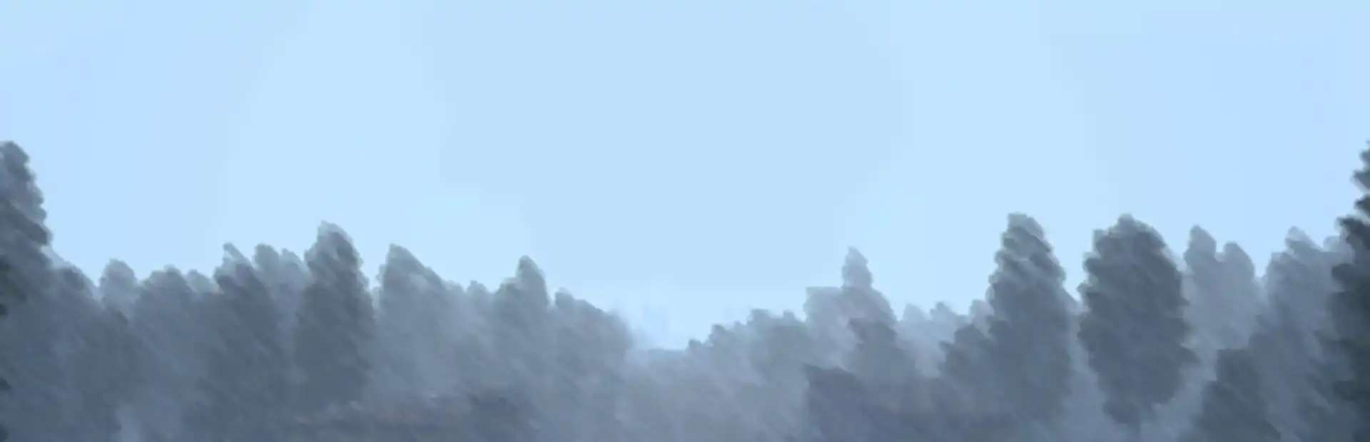 Wild West Z background