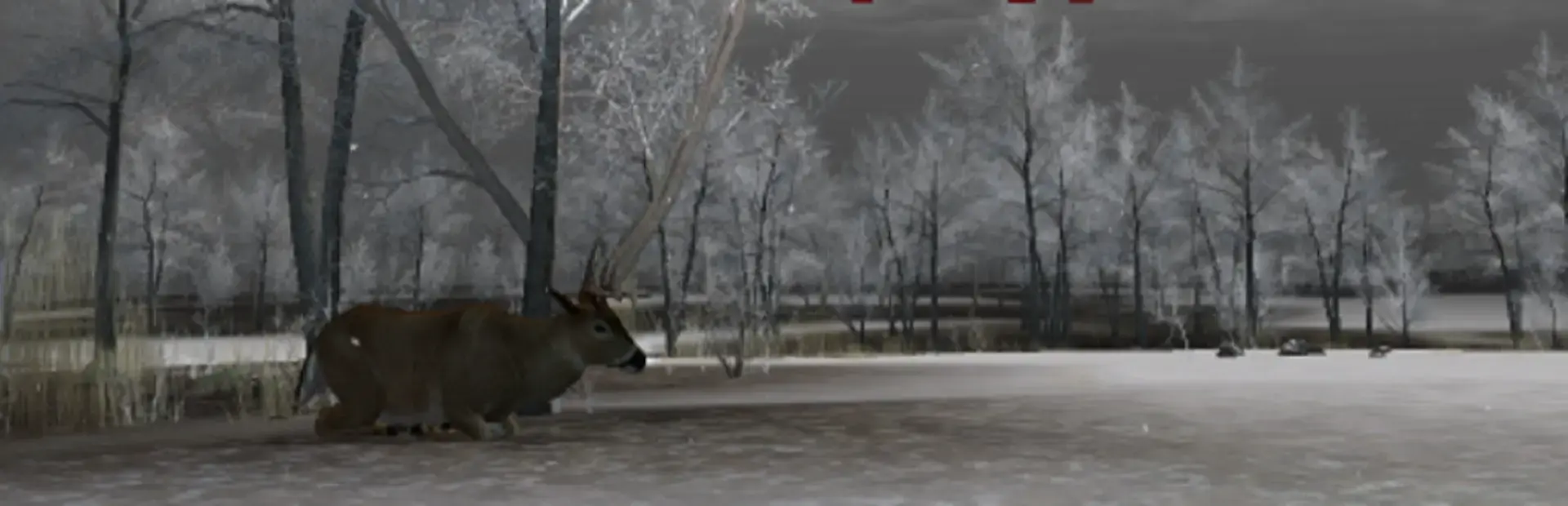 Deer Hunter 3 Gold background