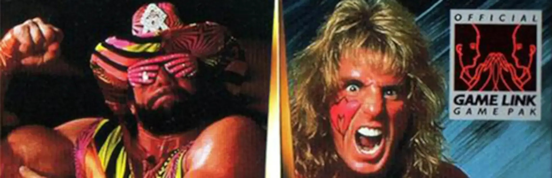 WWF Superstars background