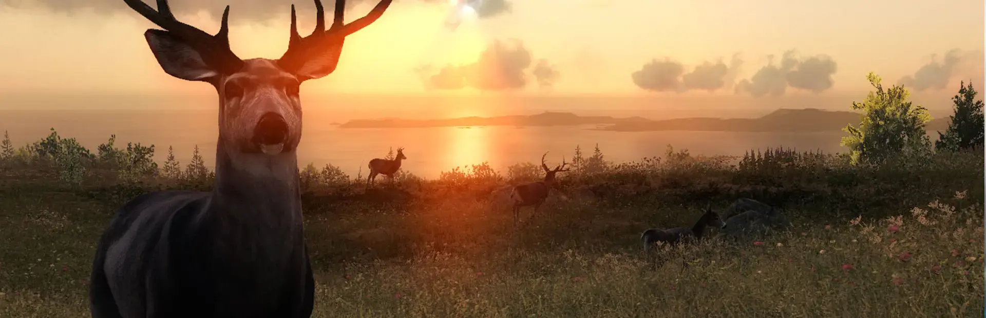 TheHunter Classic background