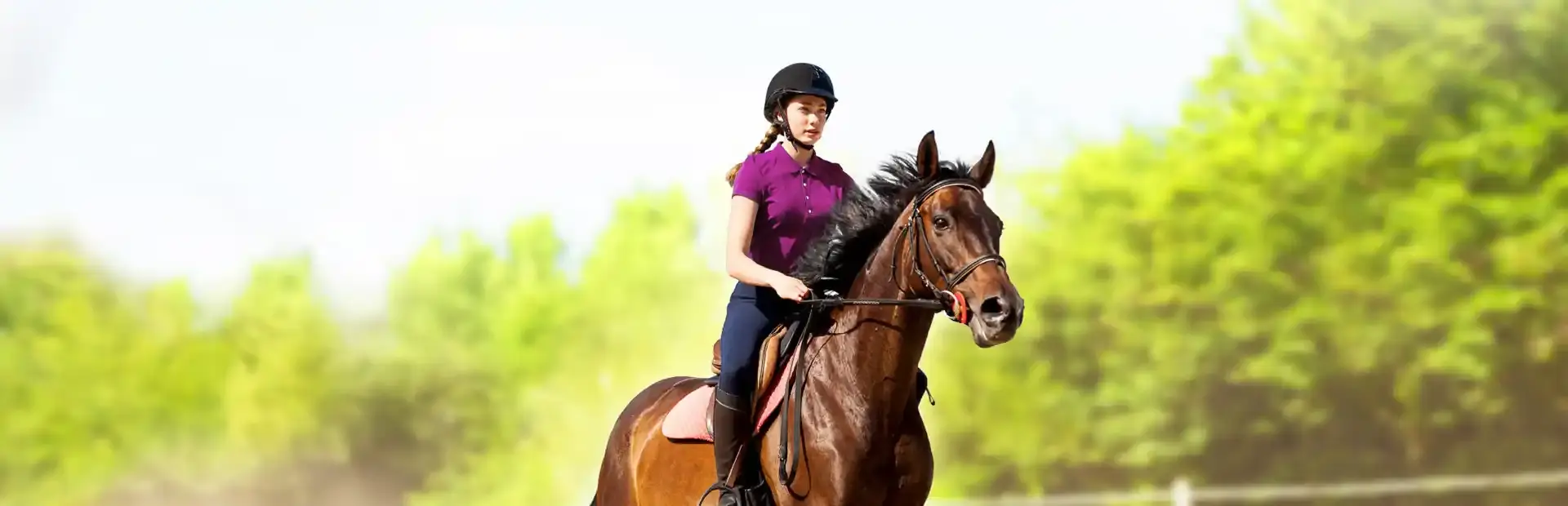 My Little Riding Champion background