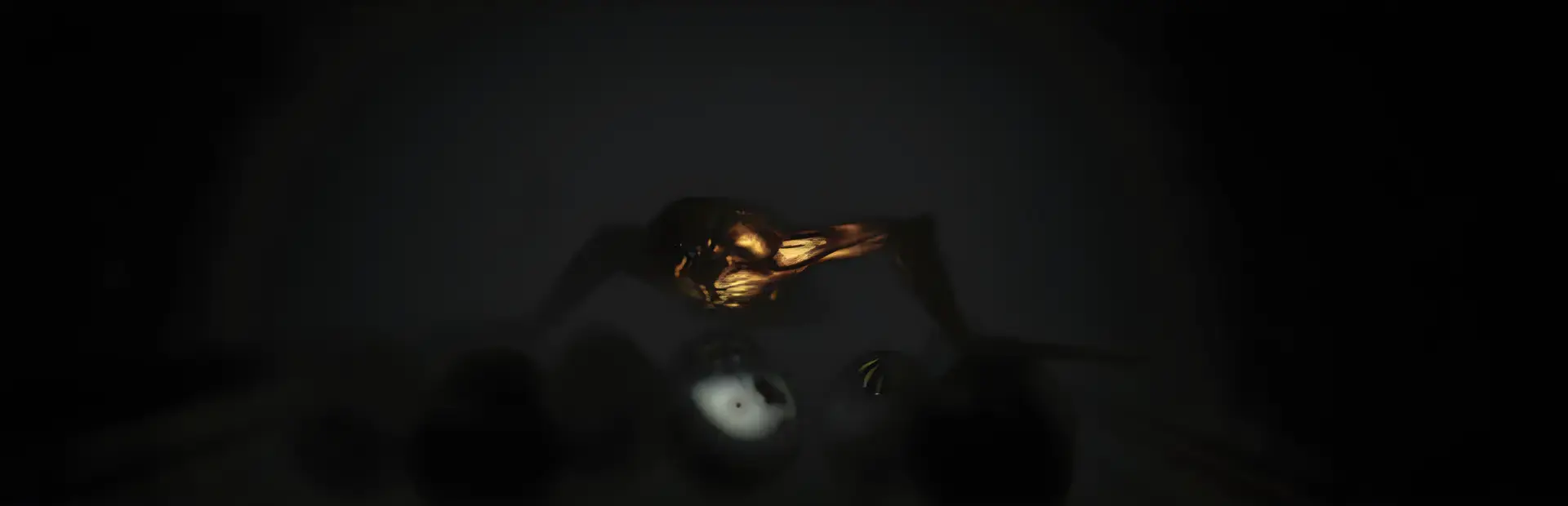 Die in the Dark background