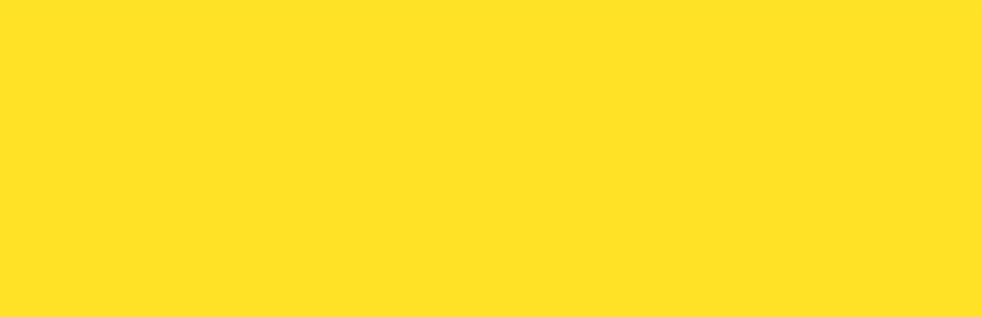 Snow Job background