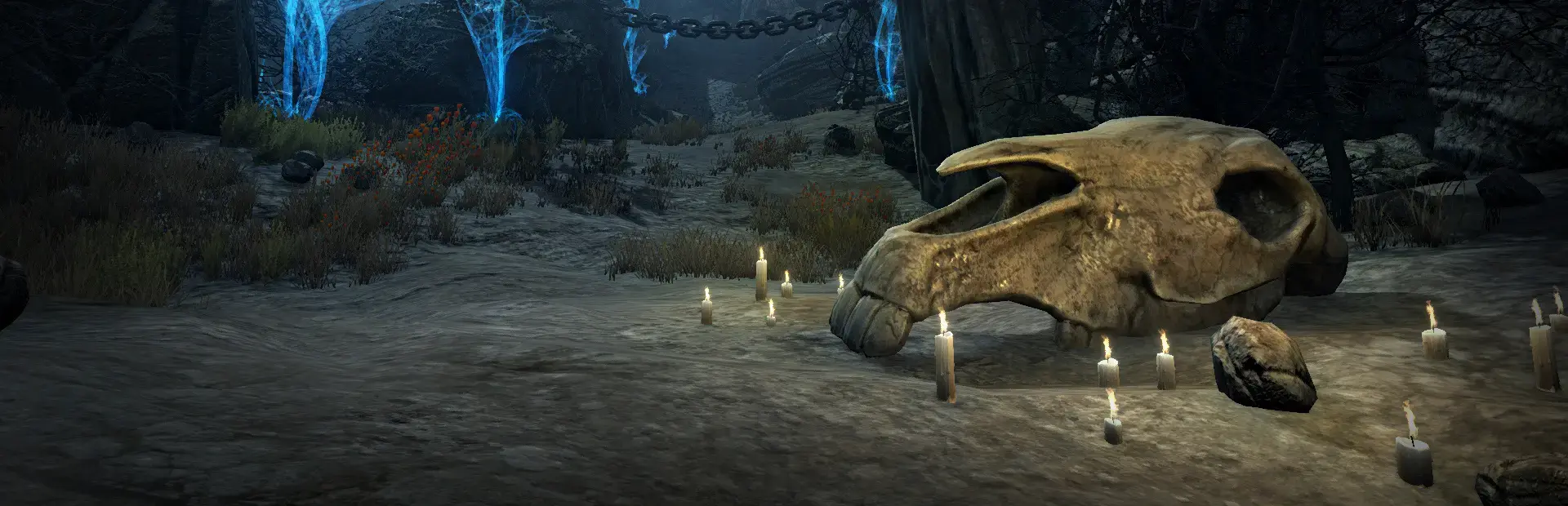 Caligo background