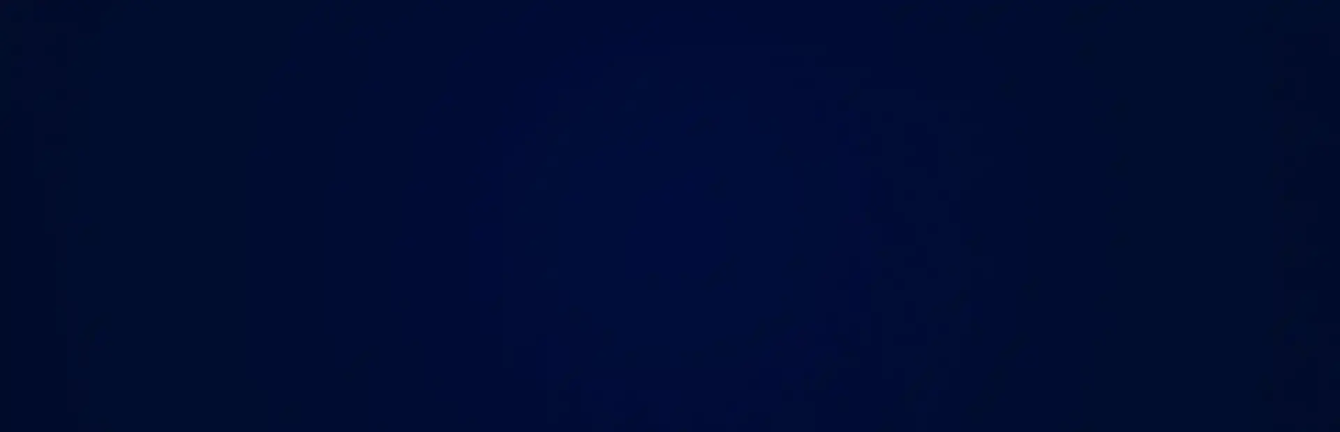 Ninja Stealth 4 background