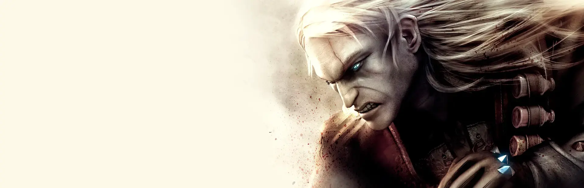 The Witcher: Enhanced Edition background
