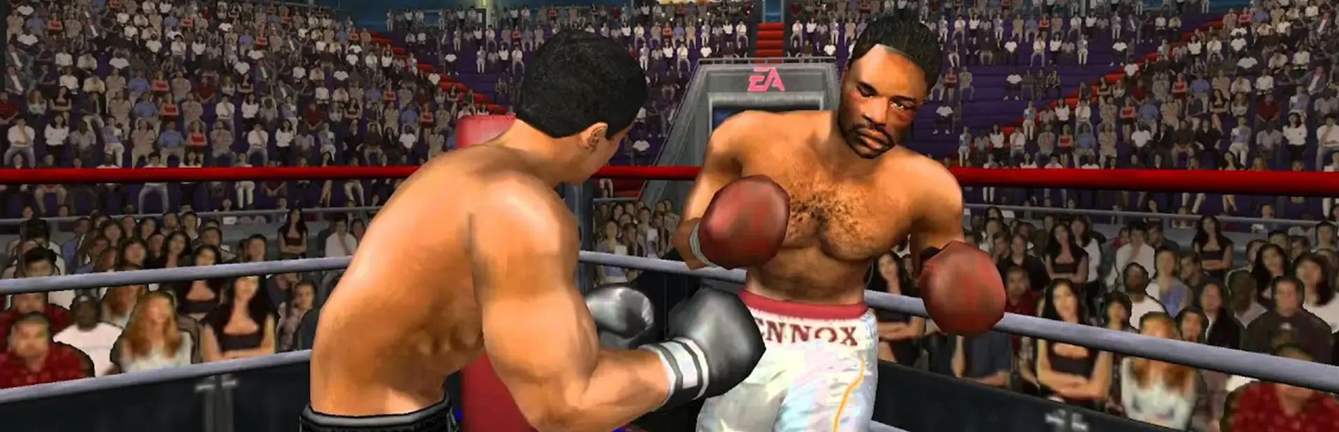 Knockout Kings 2003 background