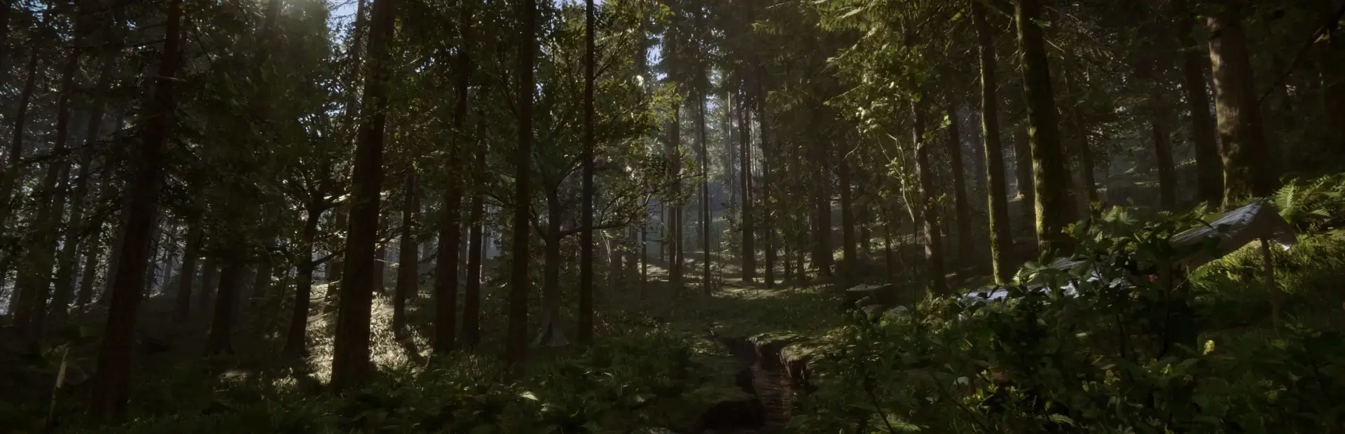 Sons of the Forest background