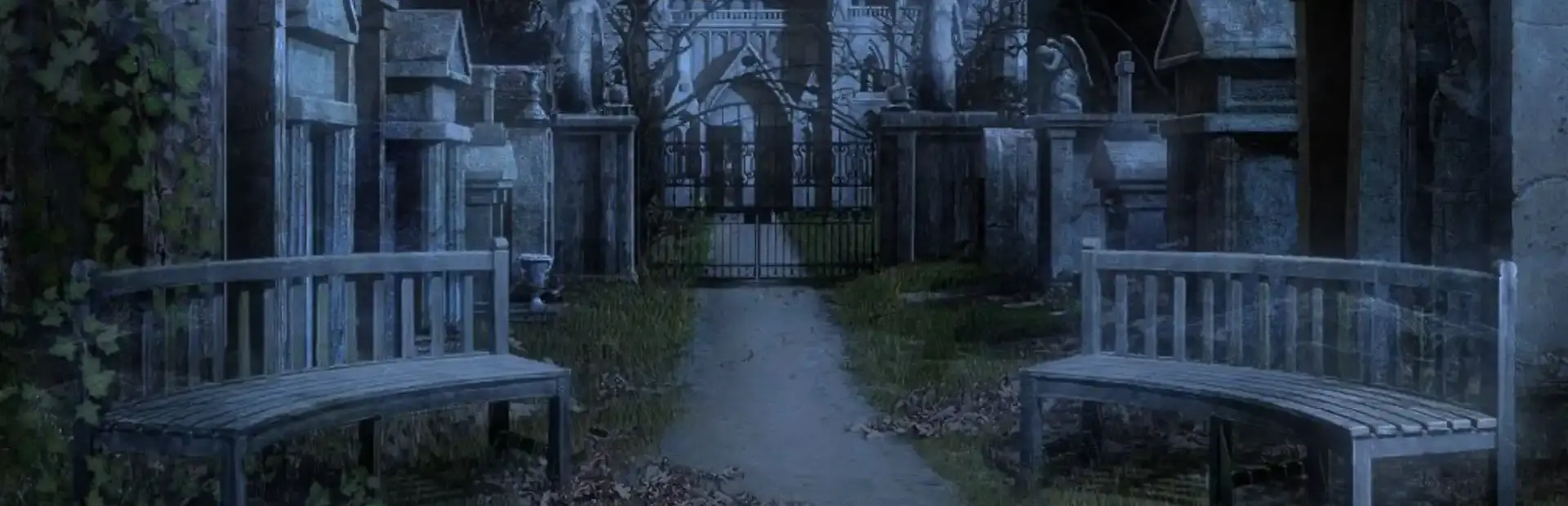 Voodoo Whisperer Curse of a Legend background