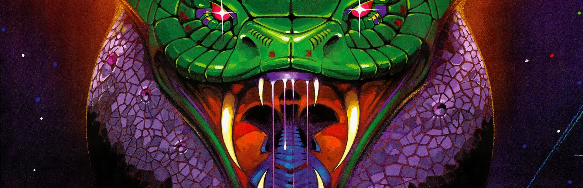 Salamander background