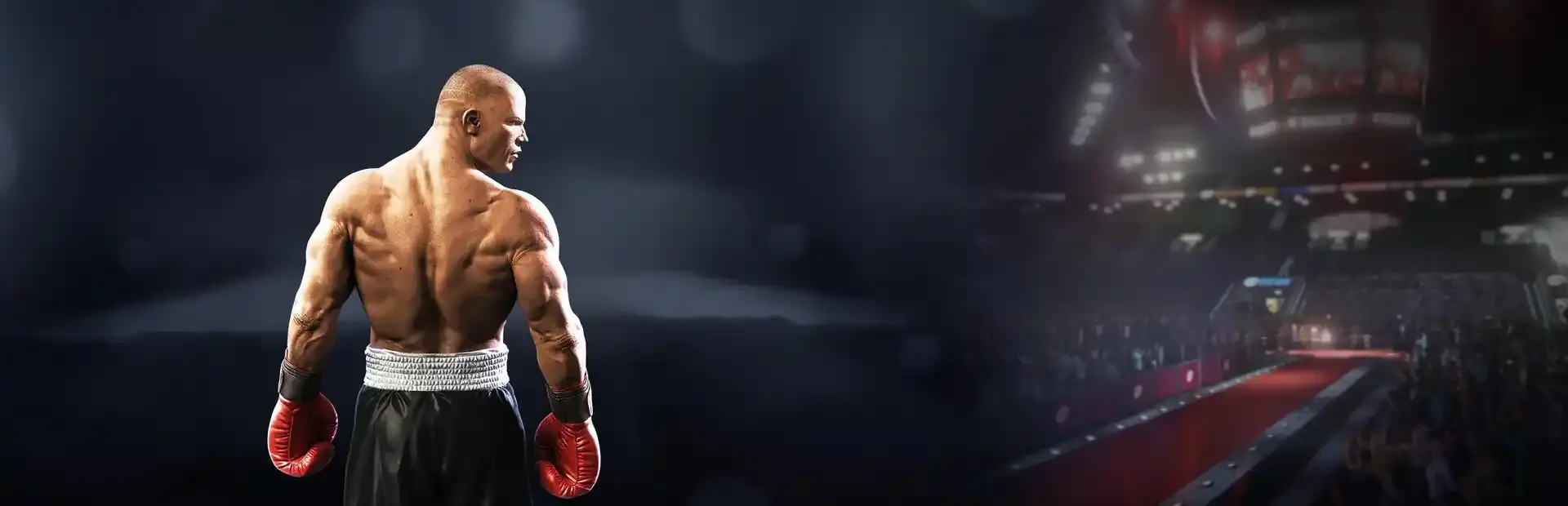 Real Boxing 2: Remastered background