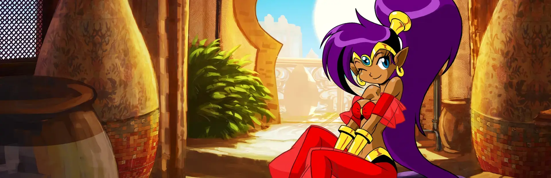 Shantae: Risky's Revenge - Director's Cut background