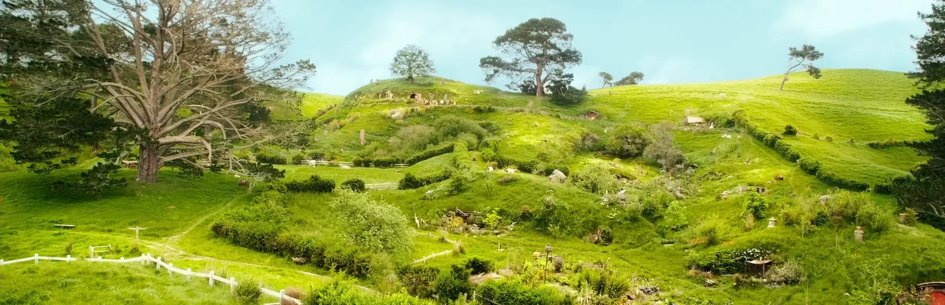 J.R.R. Tolkien's Lord of the Rings: Volume 1 background