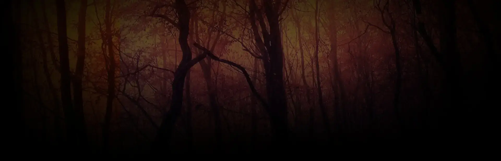 Twisted Lands Trilogy: Collector's Edition background
