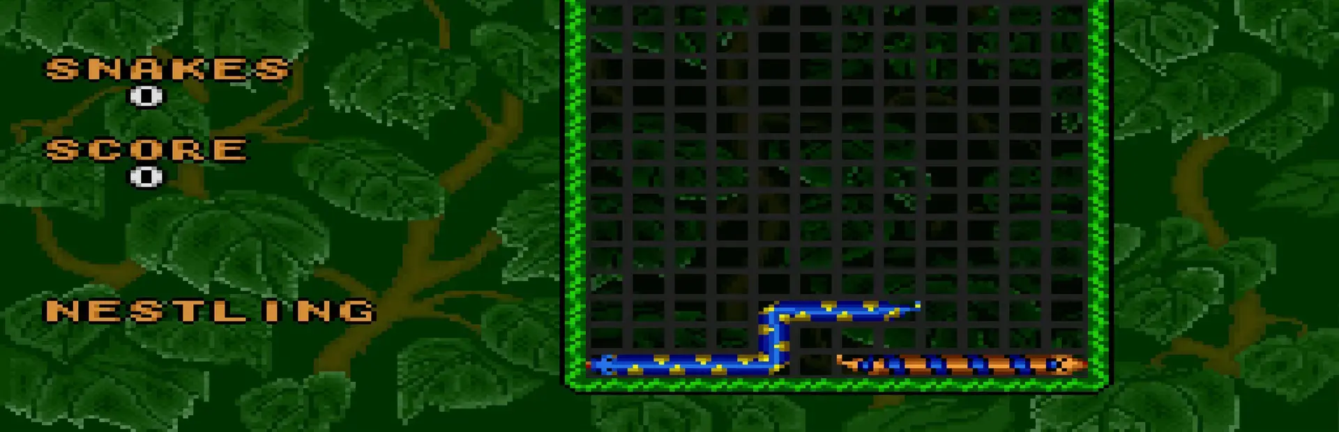 Wild Snake background