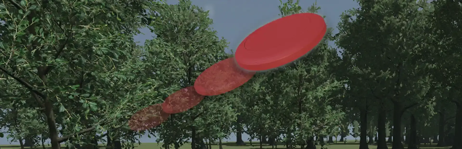 Trippy's Disc Golf background