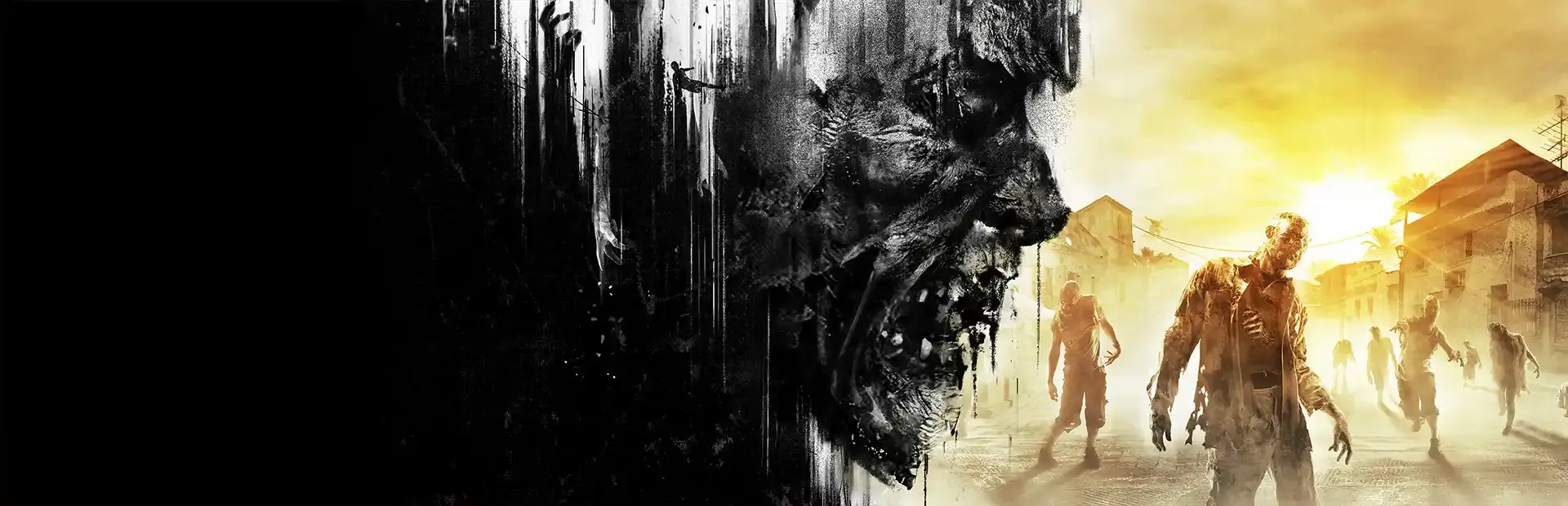 Dying Light background