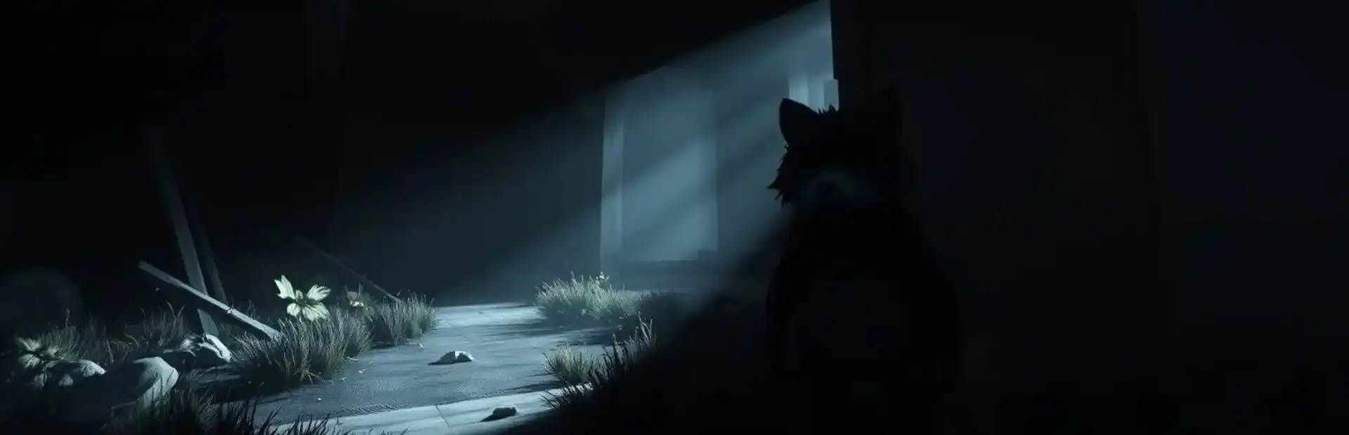 Lunhowl: Co-op Horror background